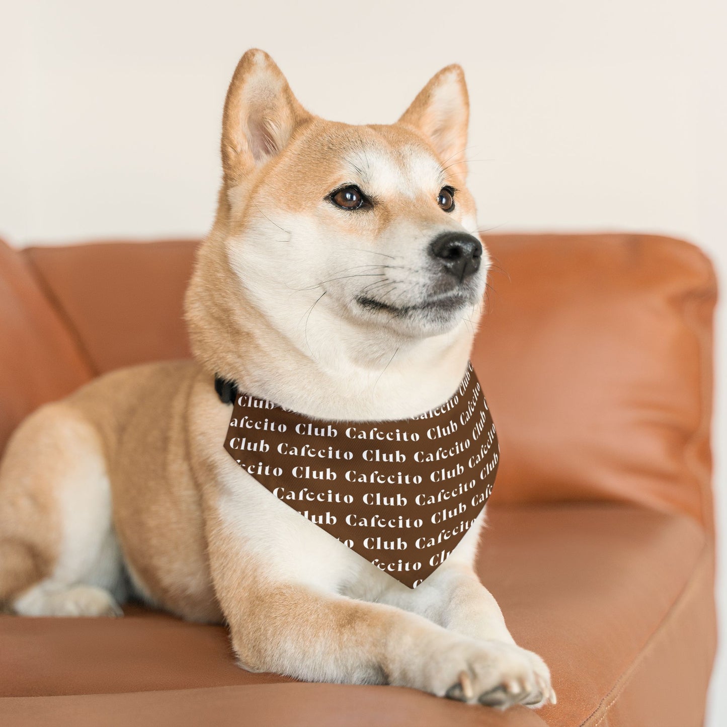 Cafecito Club (brown) | Dog Bandana Collar