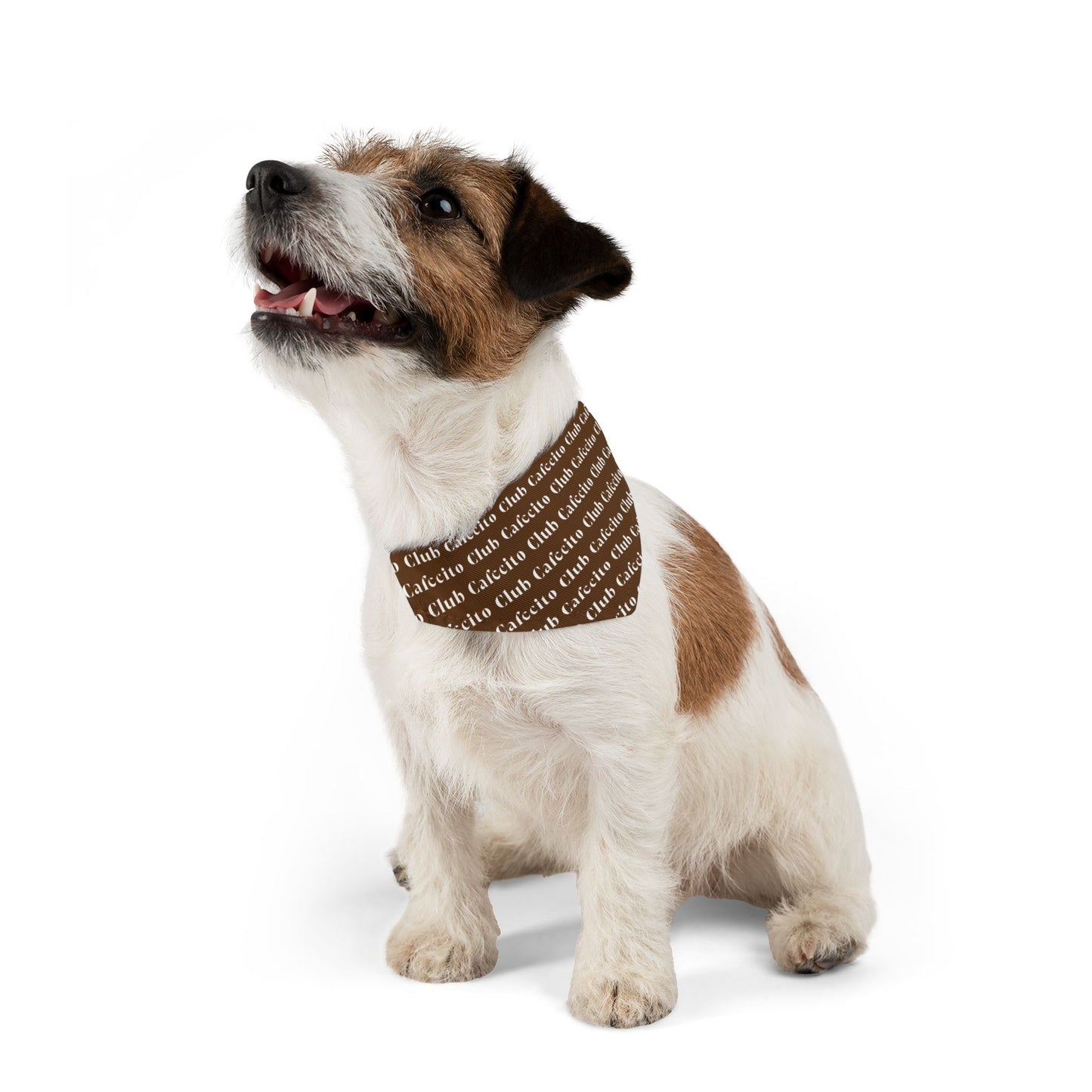 Cafecito Club (brown) | Dog Bandana Collar