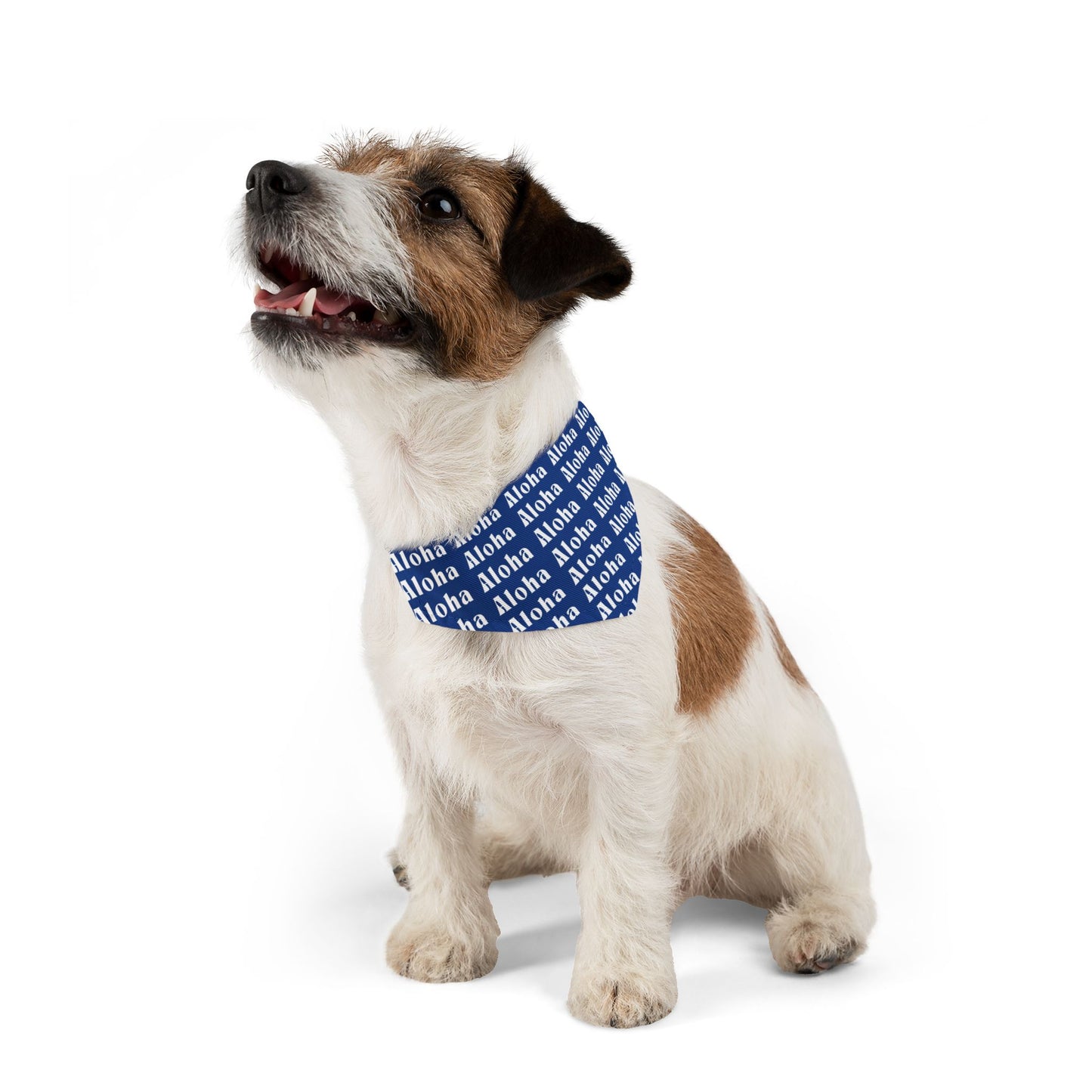 A L O H A Dog Bandana Collar
